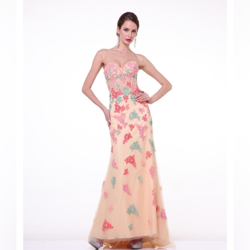 Cinderella prom formal gown  new without tag size 4 see-through bodice